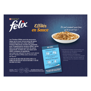 FELIX Tendres Effilés Encore plus de sauce Campagne 12x85g - Lot de 6
