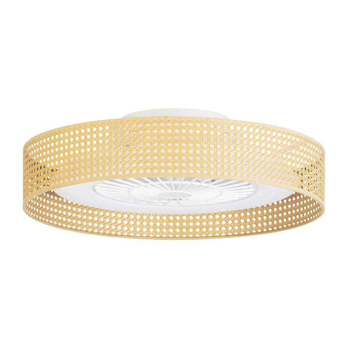 Forlight Bea Ventilador de techo con luz LED. Silencioso. 6 velocidades. Regulador Intensidad y Temperatura de Color. Mimbre.