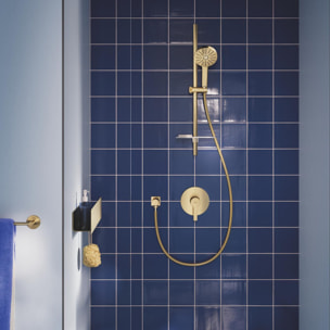 Ensemble de douche 3 jets (Pluie, Jet stimulant, Booster) - Cool Sunrise brossé