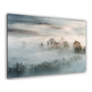 Tableau brouillard hivernal Toile imprimée