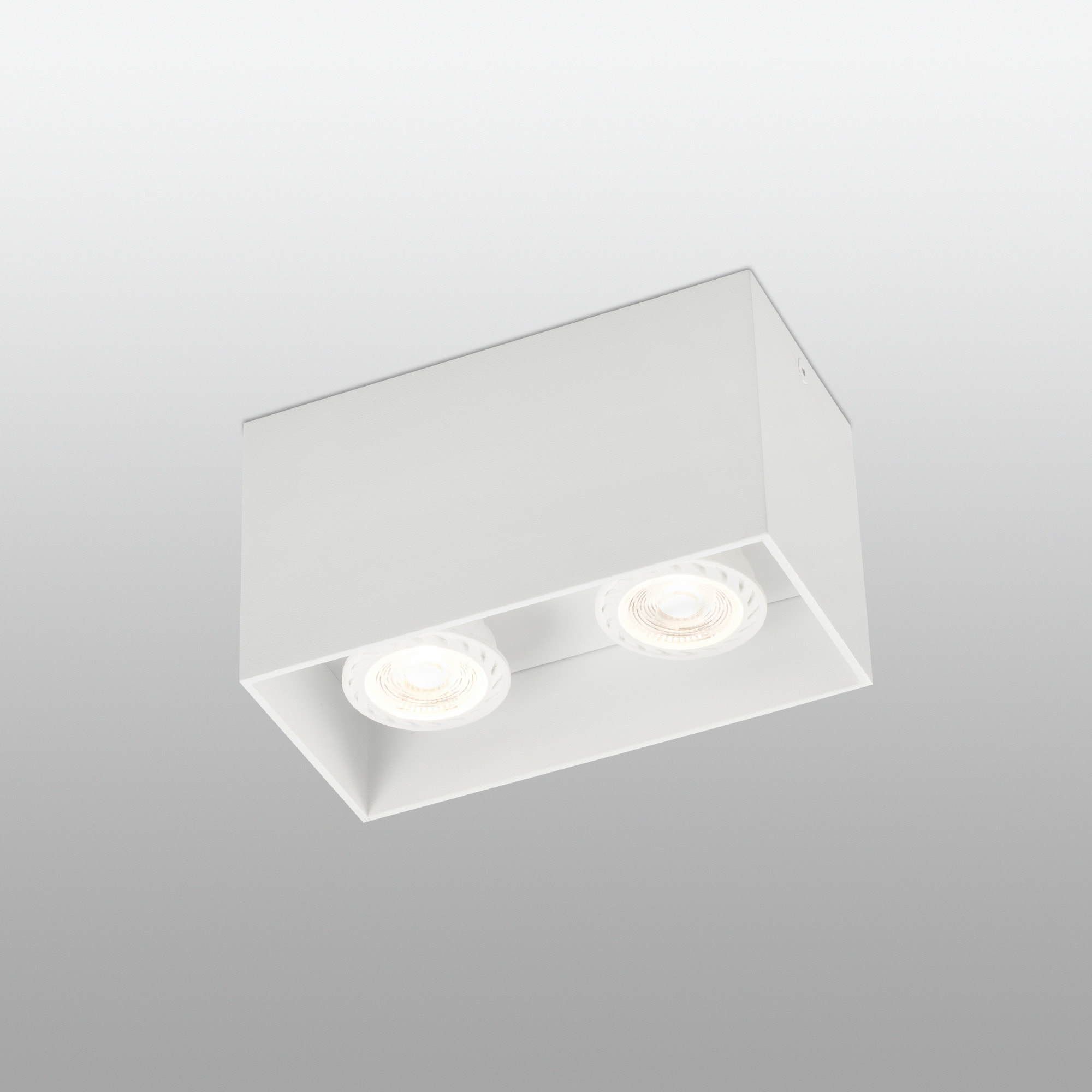 TECTO 2L GU10 Plafón blanca