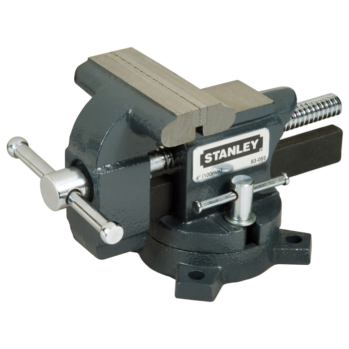 Étau d'établi standard en fonte 100mm