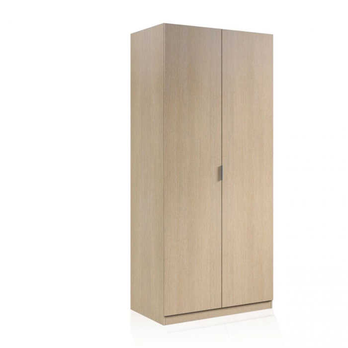 Armario Astra 2 Puertas Roble
