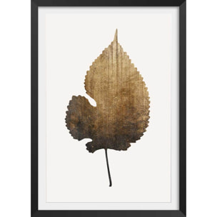 Poster sauvage dorée Affiche + cadre en bois - Noir