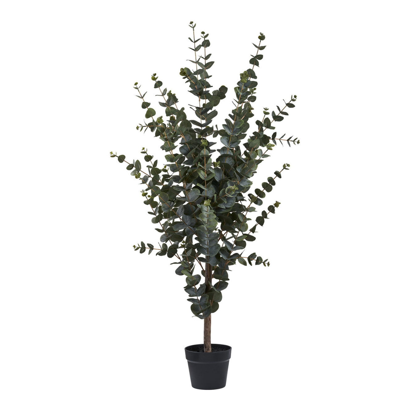 Eucalyptus Tree - Albero di eucalipto artificiale verde H120 cm