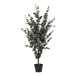Eucalyptus Tree - Albero di eucalipto artificiale verde H120 cm