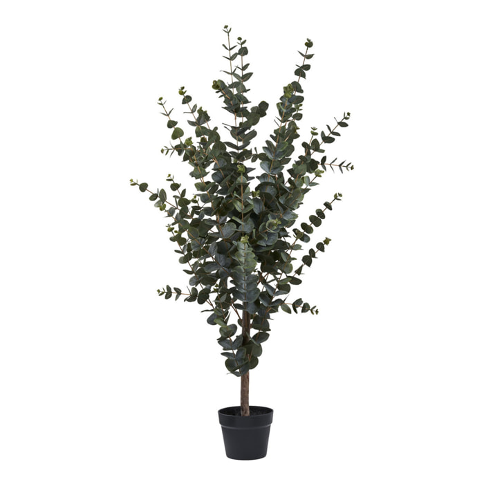 Eucalyptus Tree - Albero di eucalipto artificiale verde H120 cm