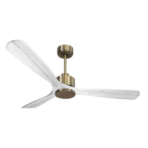 Ventilateur de plafond Wifi Moteur à courant continu Télécommande Hypersilence Mémoire