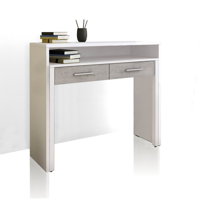 Tomasucci Console / Bureau caché Multicolore