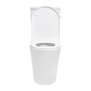 Brevis cuvette WC PMR à poser SEULE sans bride en céramique (réservoir non fourni), blanc (SATBRE32M)