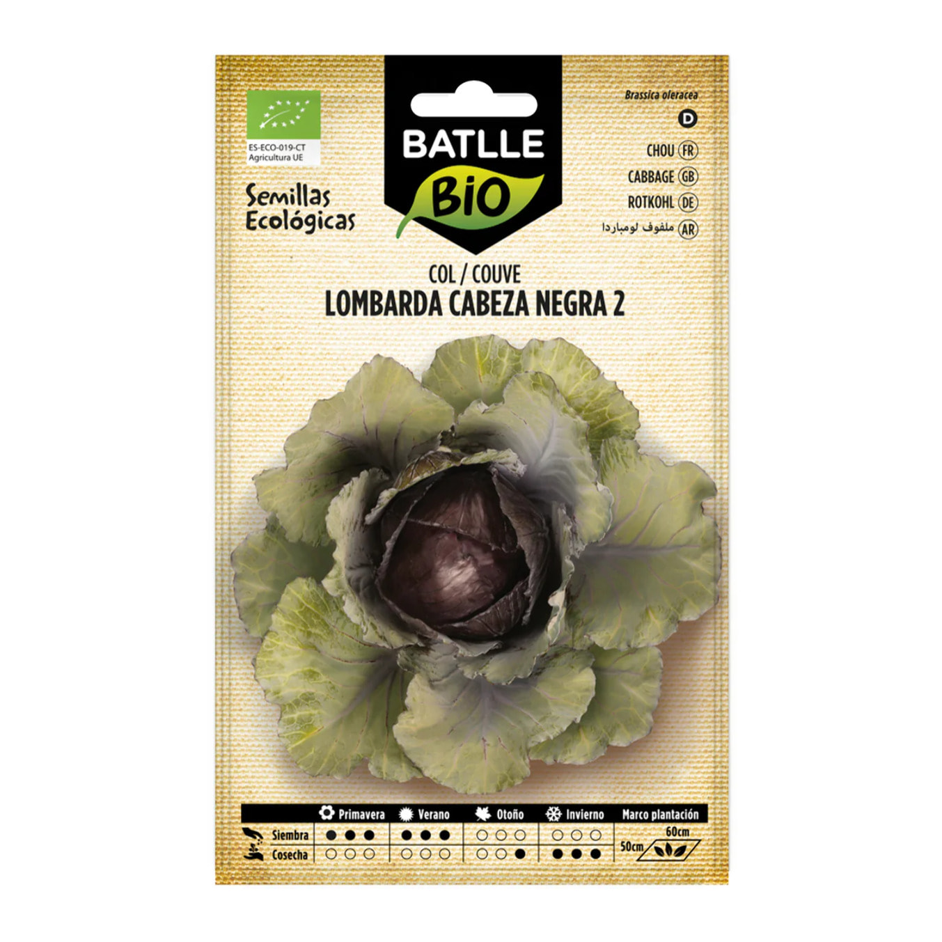 Semillas de de Col lombarda cabeza negra 2 ecológicas Batlle
