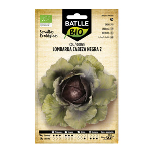 Semillas de de Col lombarda cabeza negra 2 ecológicas Batlle