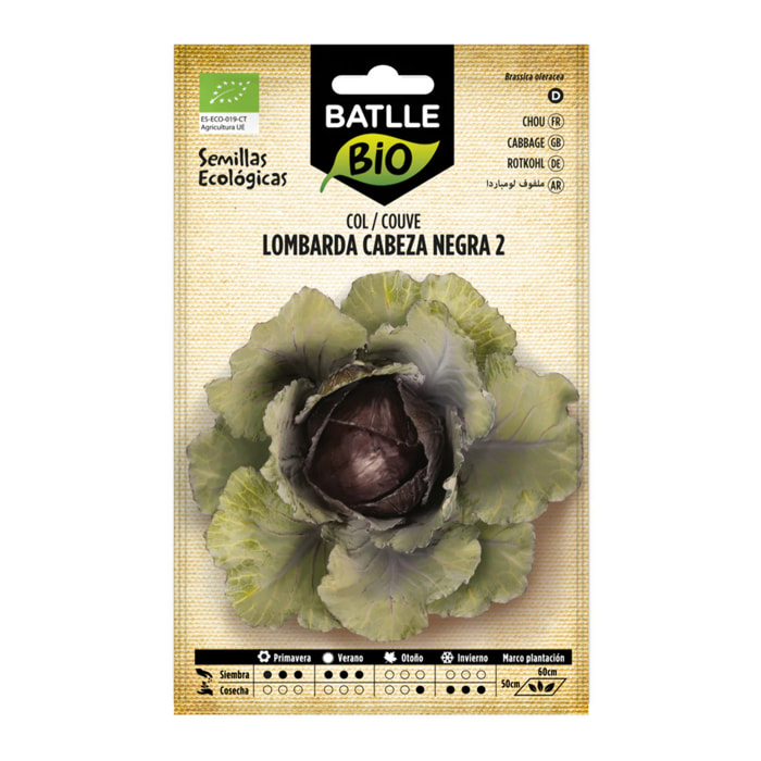 Semillas de de Col lombarda cabeza negra 2 ecológicas Batlle