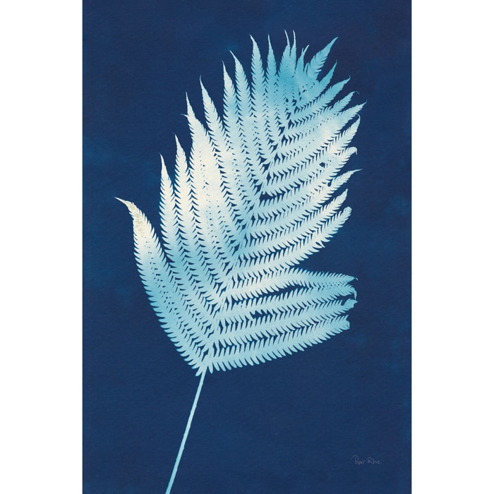 Tableau fleurs Fougère d'argent Tableau plexiglas