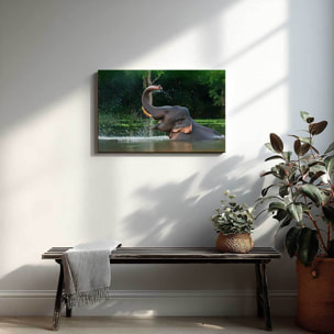 Tableau éléphant sauvage éclaboussures d’eau tropicales Toile imprimée