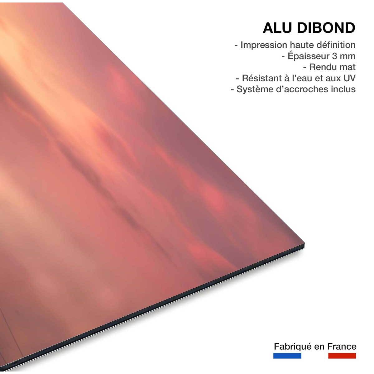 Tableau bateau coulé Tableau alu Dibond