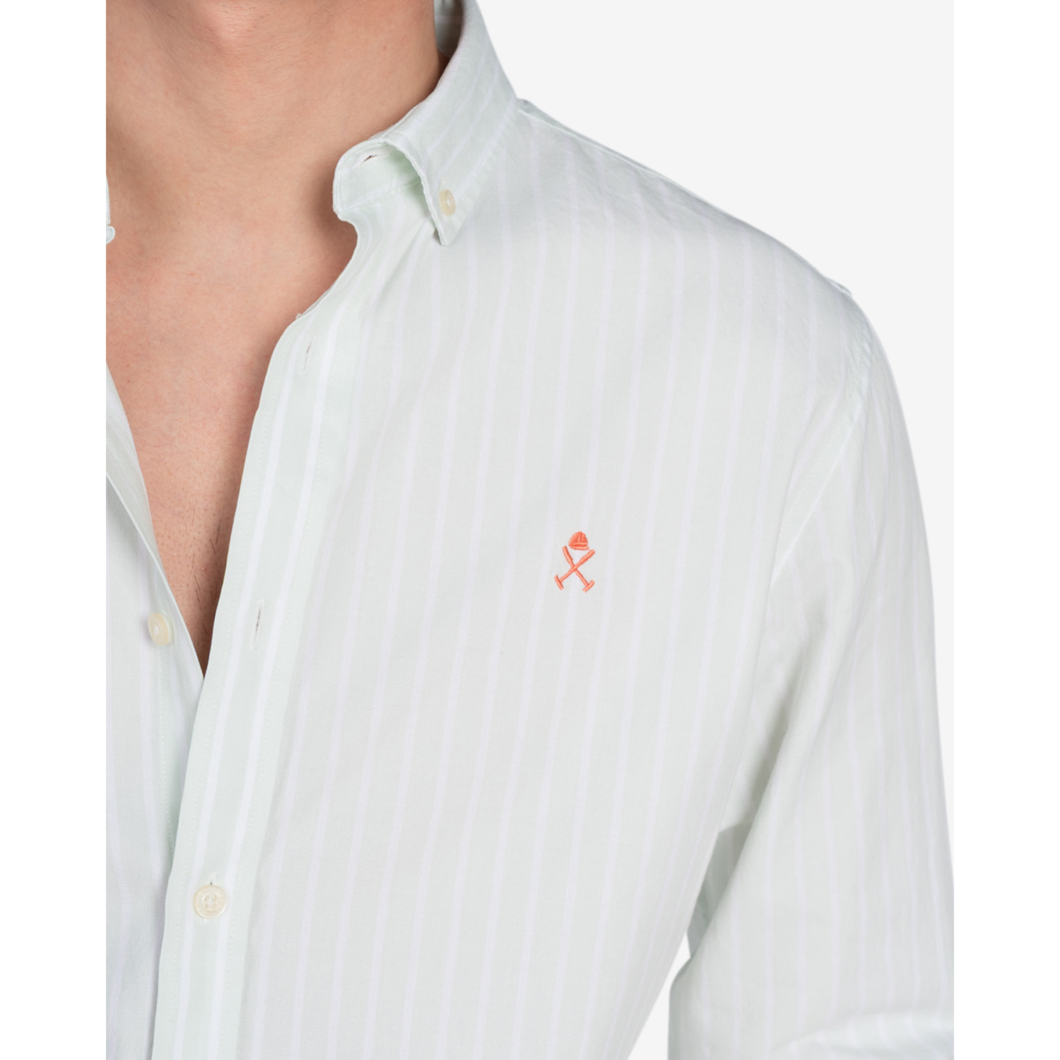 CAMISA PALOOZA