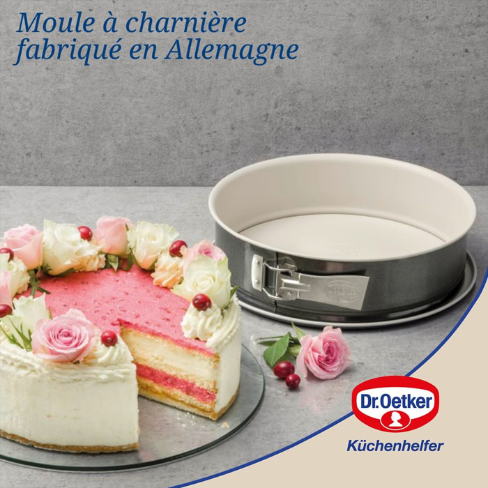 Dr Oetker moule à manqué avec charnière en acier céramique
