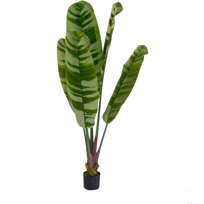 Pianta artificiale Banano Vacchetti in plastica cmh160