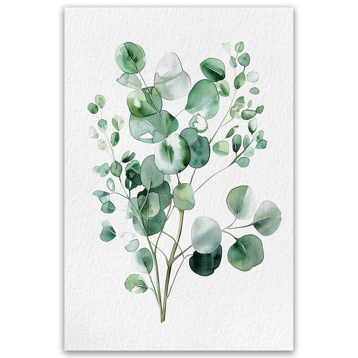 Affiche fleurs eucalyptus élégance Affiche seule