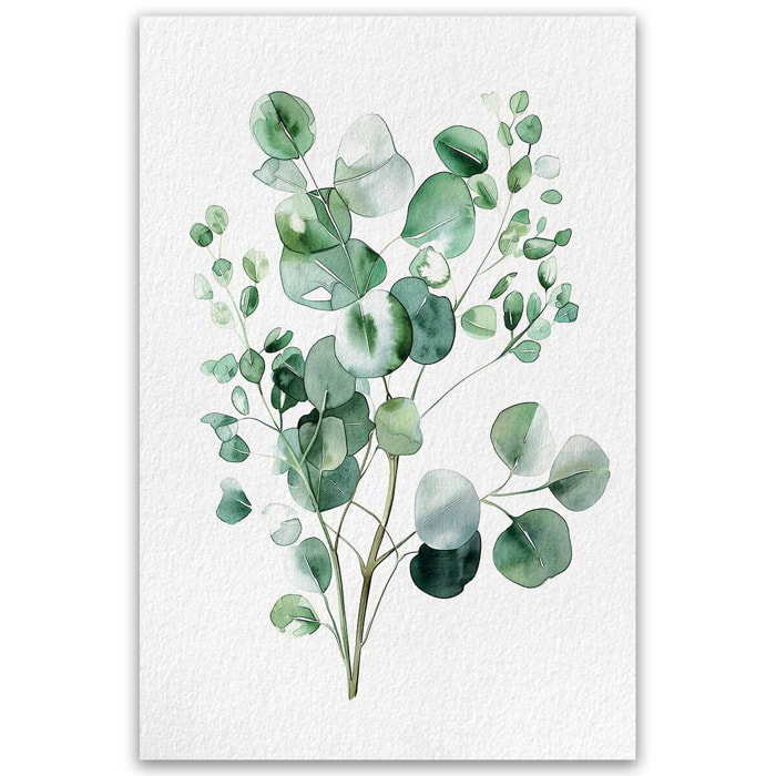 Affiche fleurs eucalyptus élégance Affiche seule