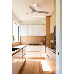 HEYWOOD S LED Ventilateur de plafond blanc/pino TUYA