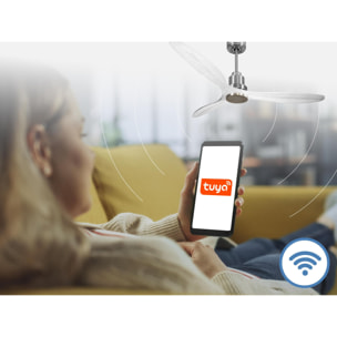 Ventilador de techo Modo Invierno/Verano Termostato Wifi Motor DC Techos Inclinados Mando a Distancia Hypersilence Memoria Vendible Shopify (AUTOMATICO) SalD166C0464493 PURLINE