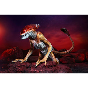 Aliens Action Figura Panther Alien (kenner Tribute) 23 Cm Neca