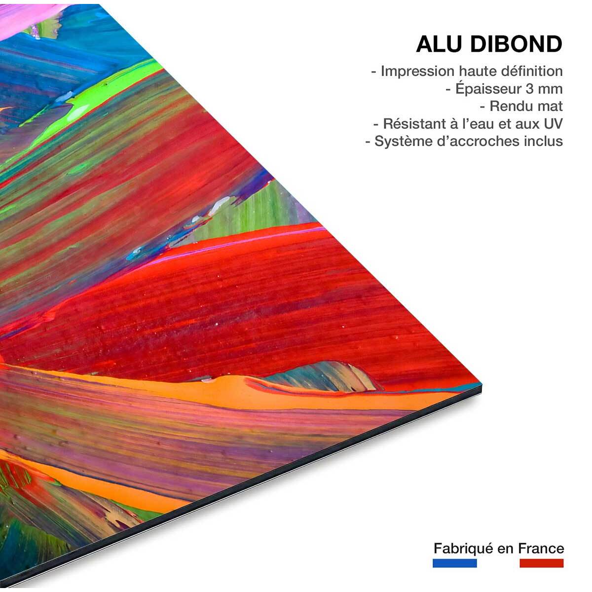 Tableau design plumo  Tableau alu Dibond