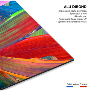 Tableau design plumo  Tableau alu Dibond