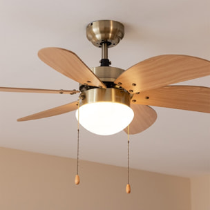 Cecotec Ventilateur de plafond avec lampe EnergySilence Aero 360 Gold&Wood