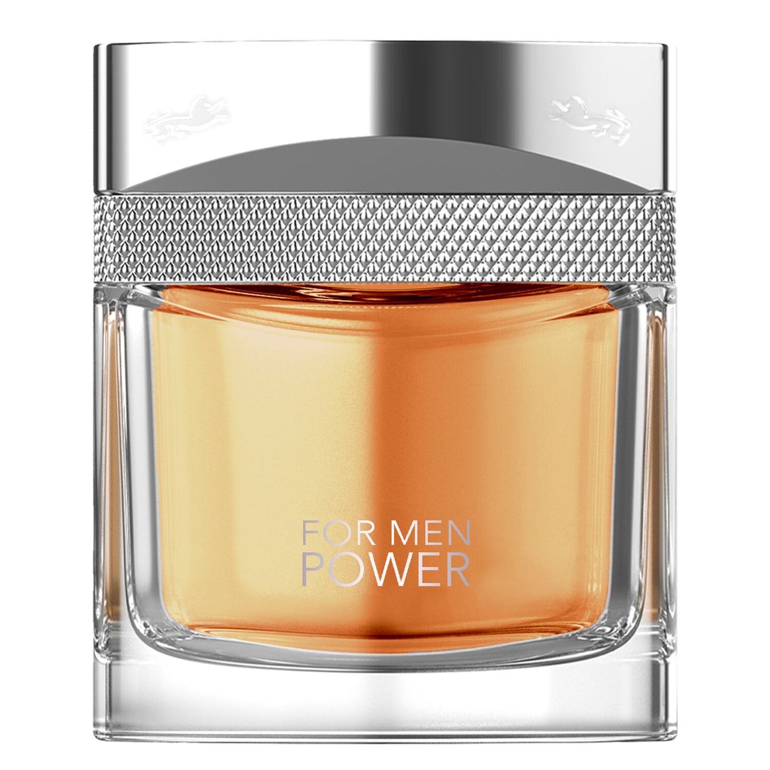 For Men Power - Eau de Parfum 100 ml
