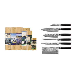 Juego Completo de 6 Cuchillos "Pakka Damascus" - Acero de Damasco