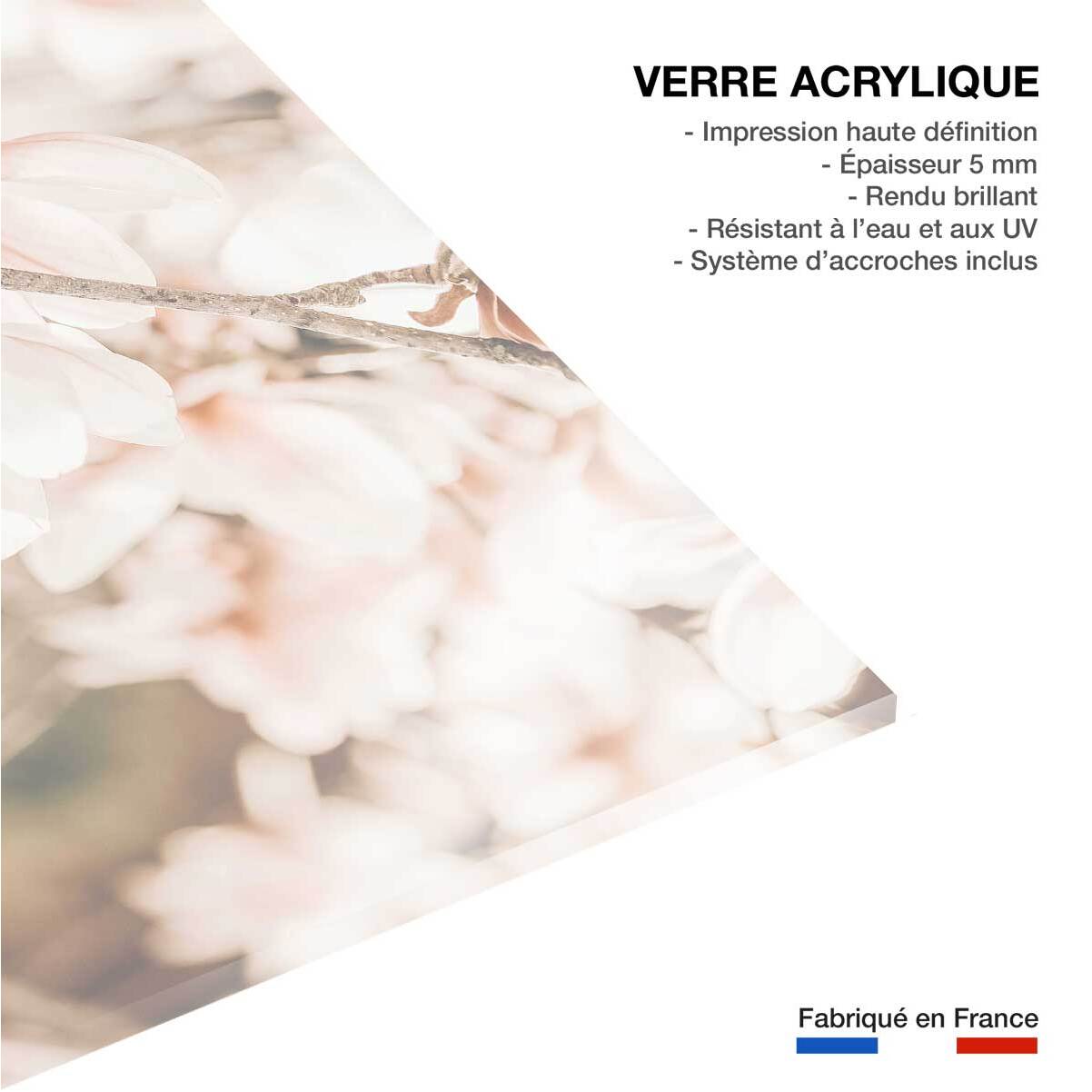 Tableau de fleurs douceur et fleurs printanières  Tableau plexiglas