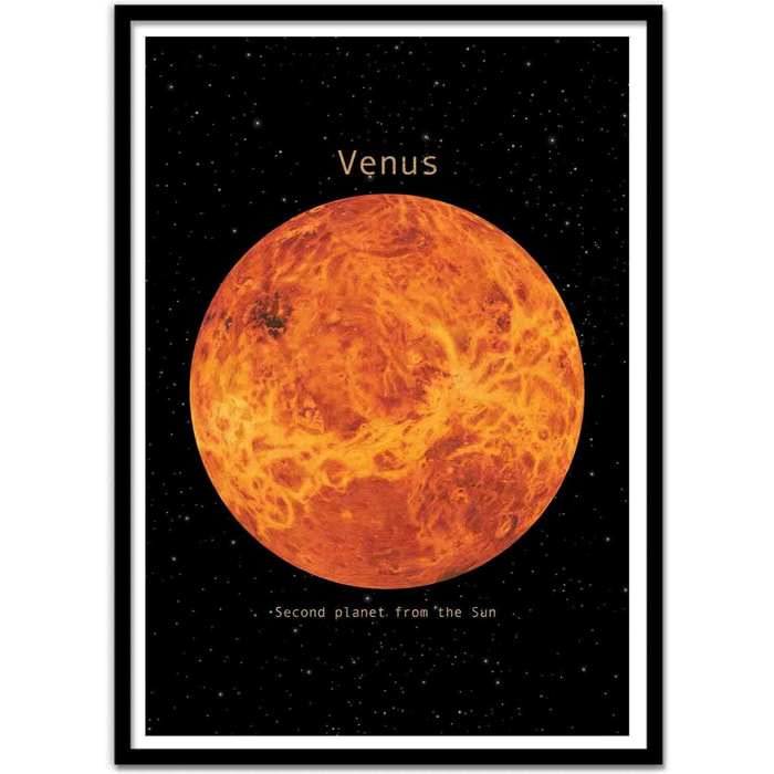 Affiche - Venus - Terry Fan
