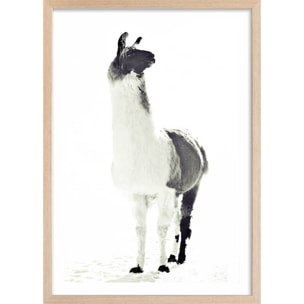 Affiche enfant noir et blanc Affiche + cadre en bois - Chêne