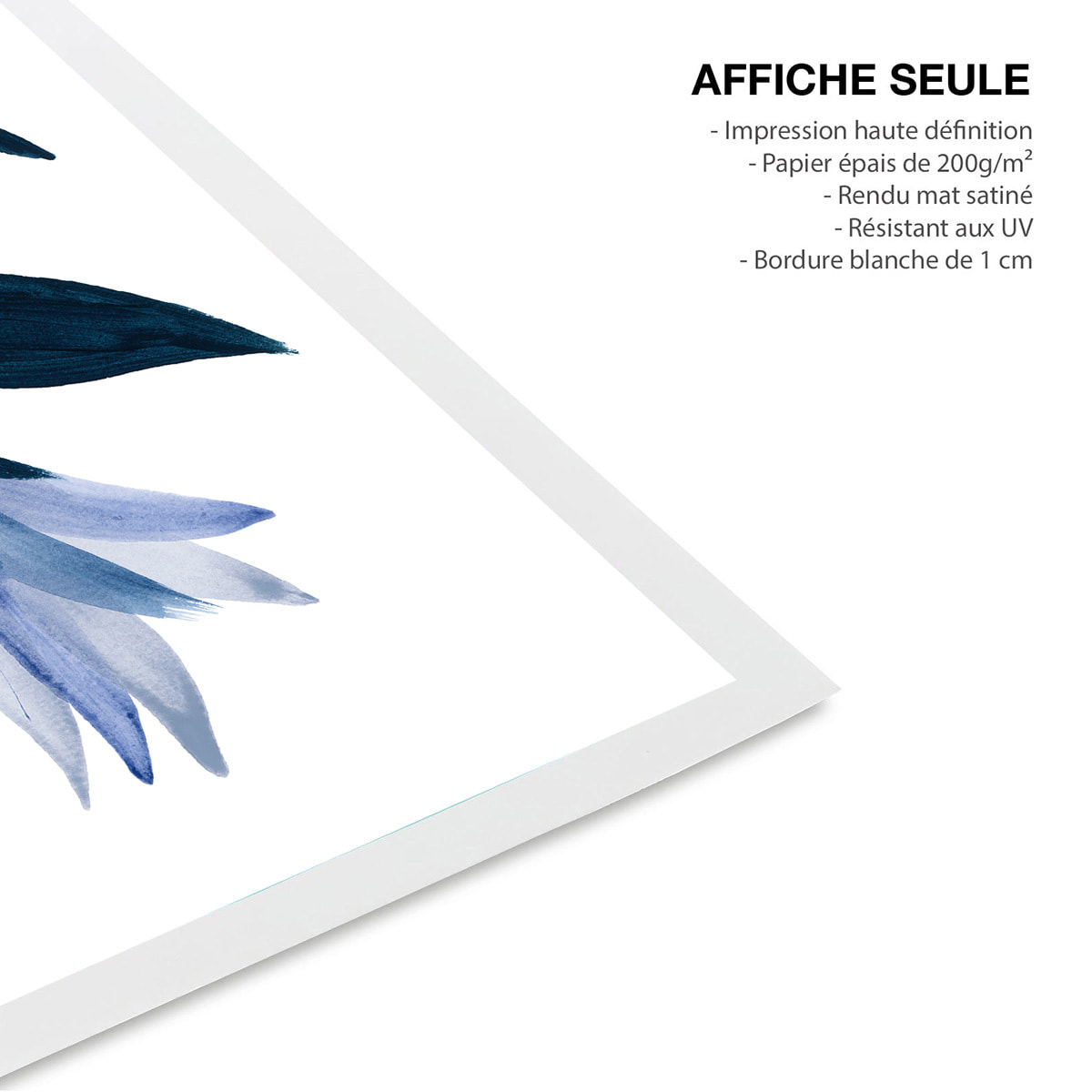 Affiche contemporain fleurs Affiche fleurs bleuets Affiche seule