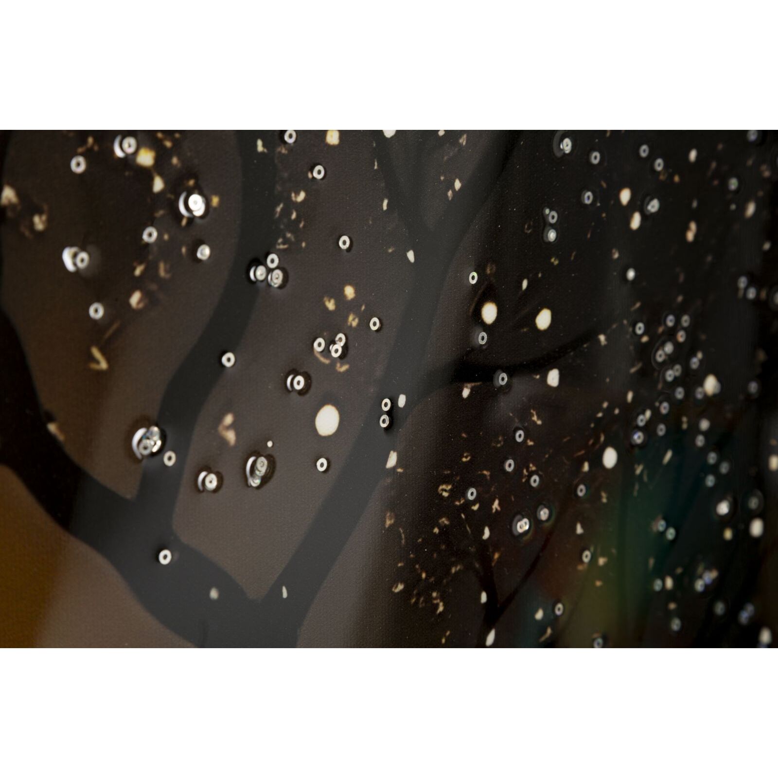 STAMPA DECORATA SU TELA LACCATA C/CORNICE 
PEACOCK CM 70X4
X100