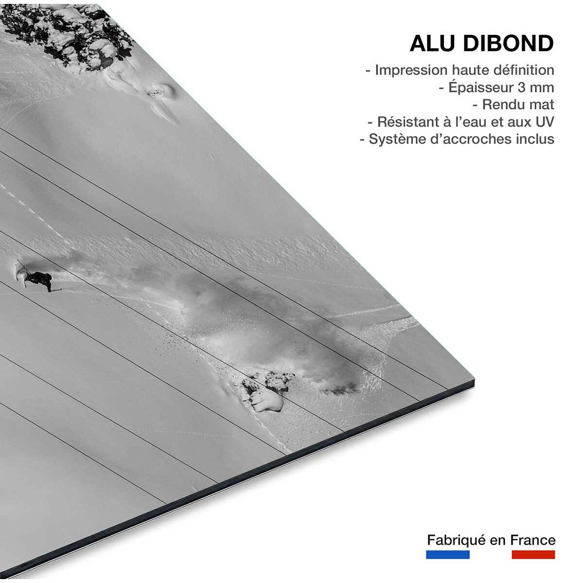 Tableau noir et blanc traces snowpowder Tableau alu Dibond