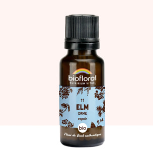Biofloral - 11 Elm, Orme - Bio - 19,5 gr