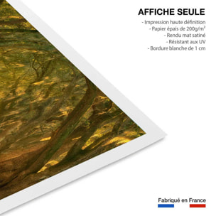 Affiche ""Allee enchanteresse"" Affiche seule