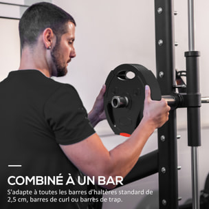 Disques de poids 2 x 5Kg + 2 x 7,5Kg - 3 poignées - trous de Ø25 mm - revêtement PP noir