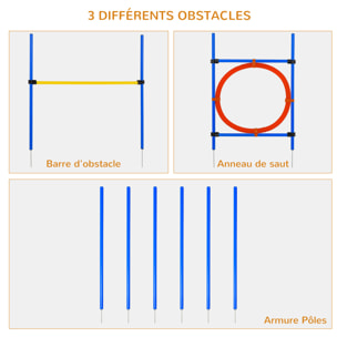 Agility sport pour chiens équipement complet : 6 poteaux slalom, obstacle, anneau + sac de transport bleu jaune rouge