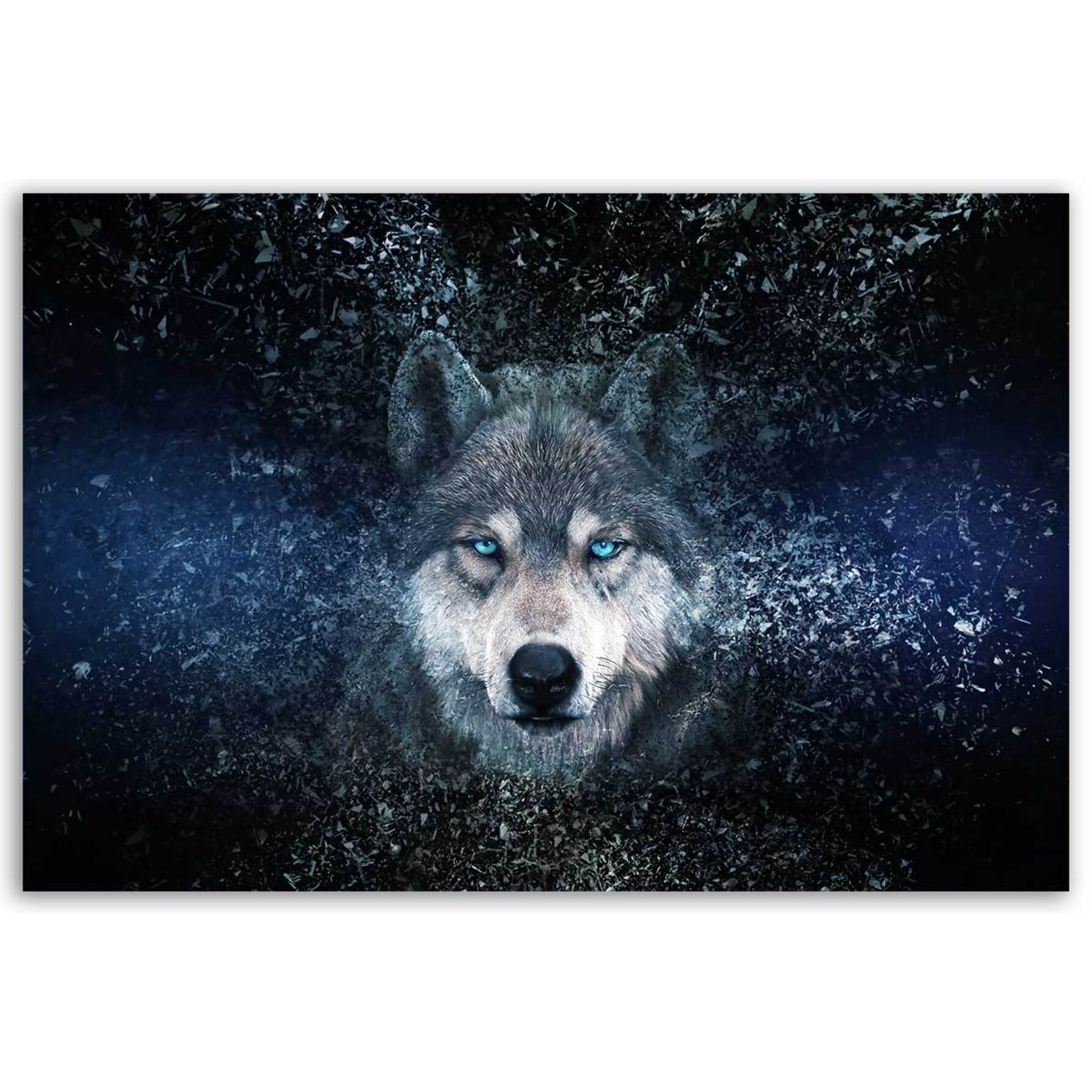 Tableau loup aux yeux bleus Toile imprimée