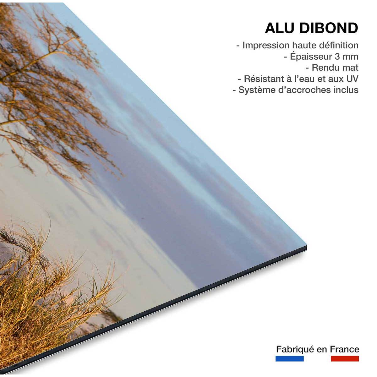 Tableau Lionnes Tableau alu Dibond