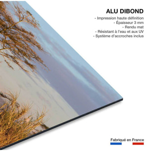 Tableau Lionnes Tableau alu Dibond