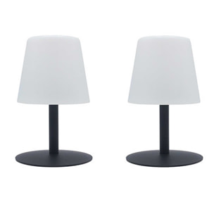 2 Lampe de table sans fil STANDY H25CM