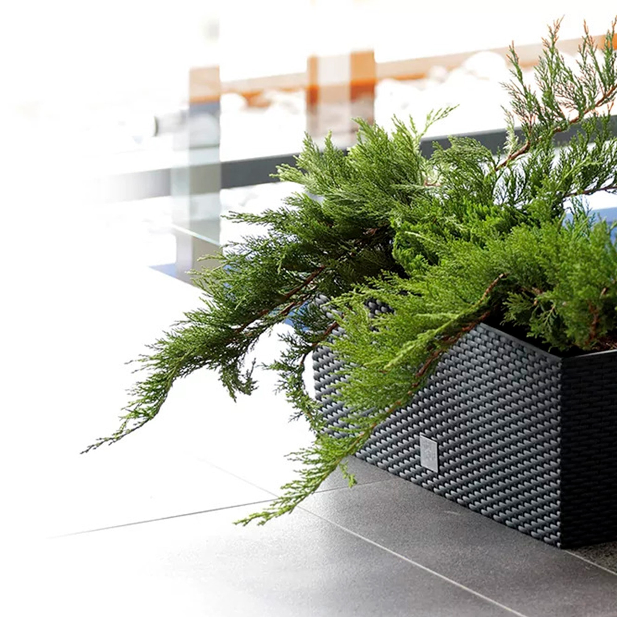 2 unidades de jardinera rectangular 17 litros con autorriego color antracita 52 x 20 x 19 cm