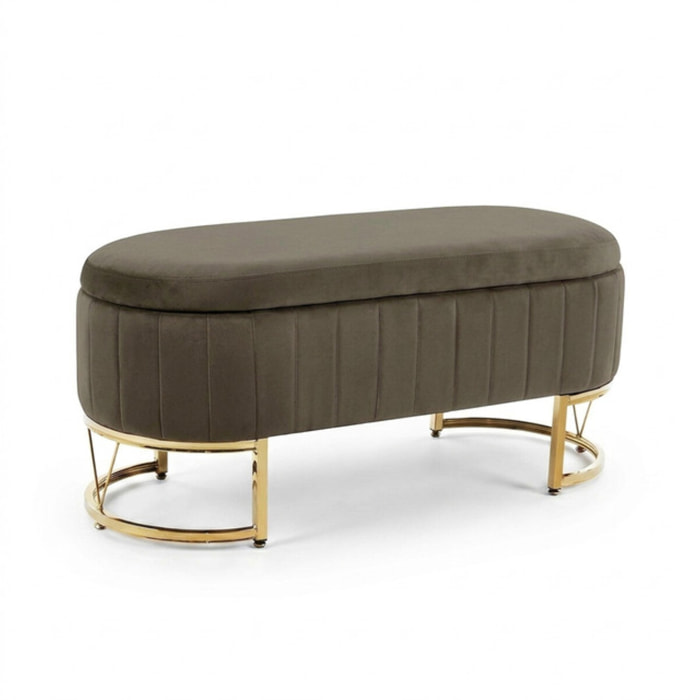 Panca Contenitore Ovale in Effetto Velluto con Ampio Vano Contenitore, Seduta Imbottita e Gambe in Acciaio, Design Elegante per Camera da Letto, Ingresso e Soggiorno