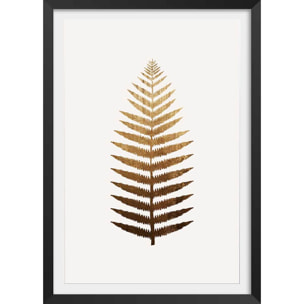 Affiche fleurs Fougere d'or Affiche + cadre en bois - Noir